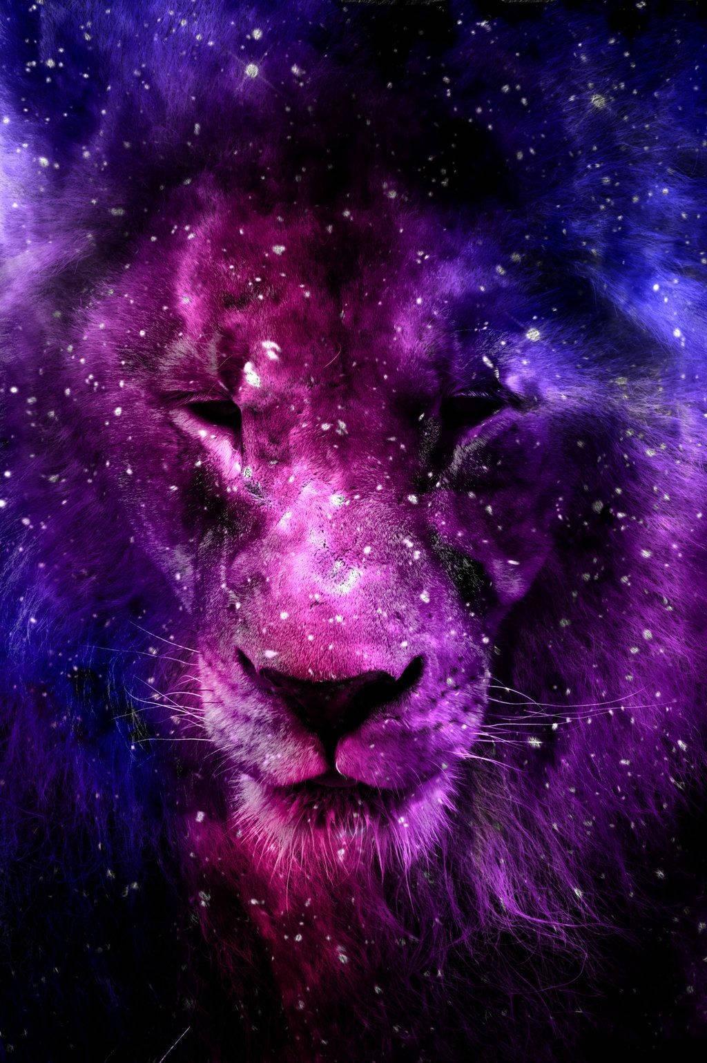 1024x1539 Download Lion Galaxy Purple Night Wallpaper