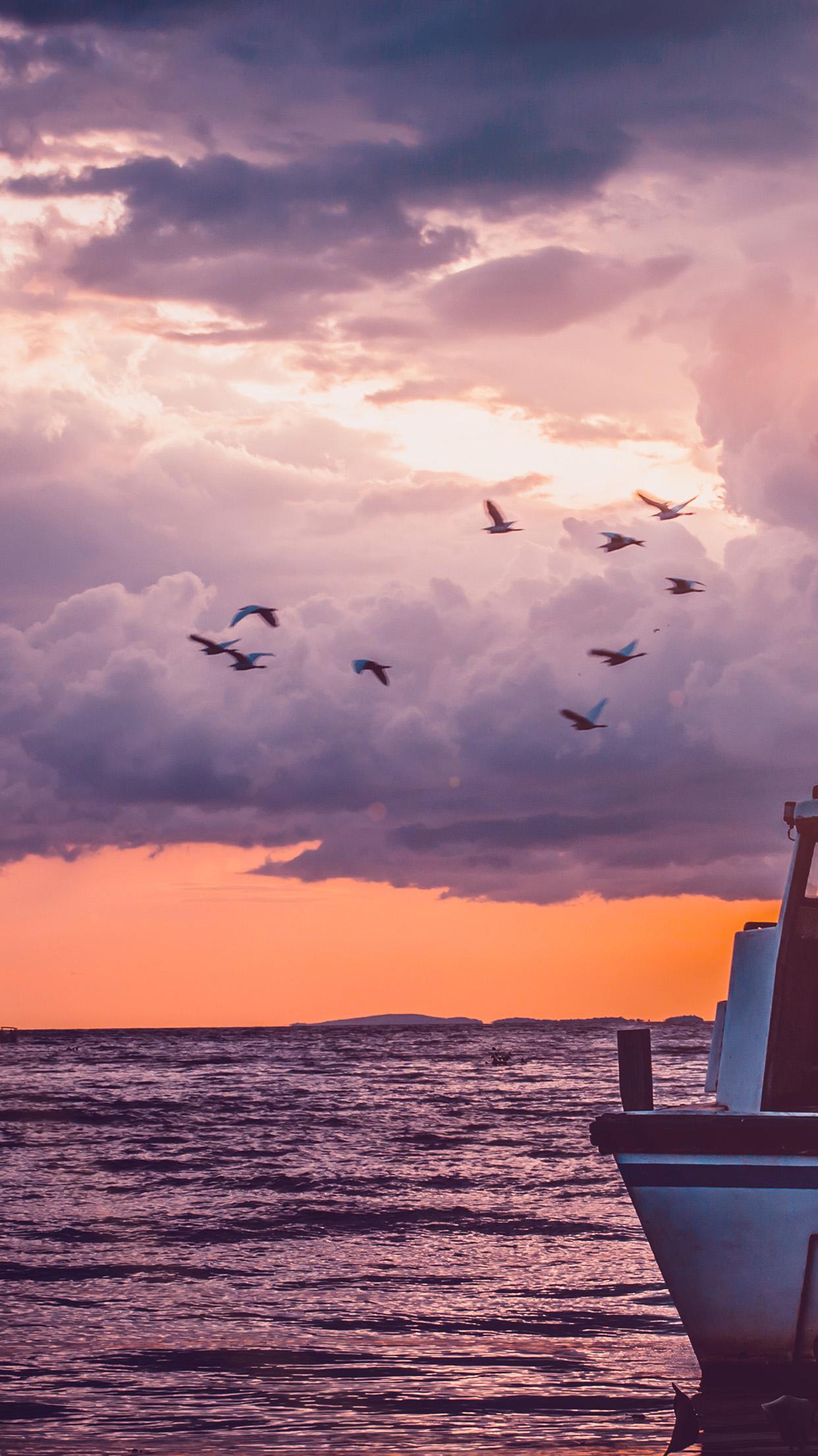 1242x2208 sea sunset birds sky ocean ship nature flare