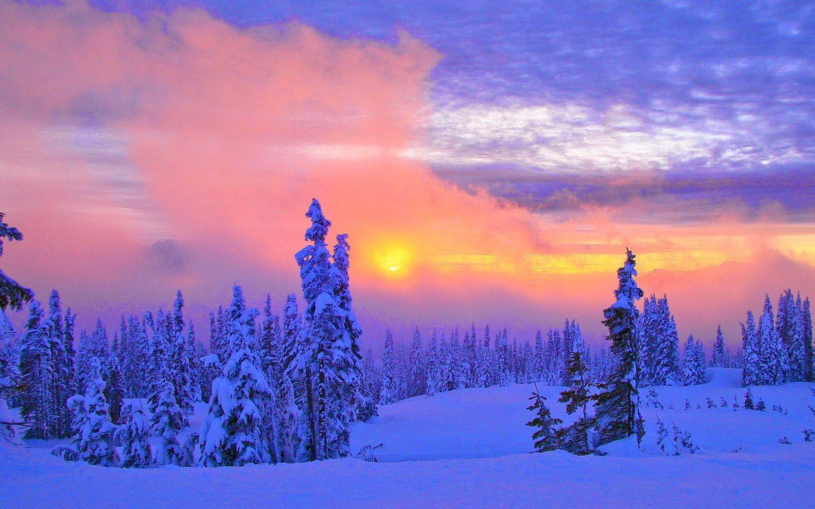 Beautiful Winter Scenery Wallpapers - Top Free Beautiful Winter Scenery ...