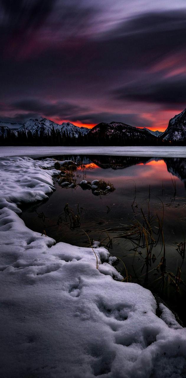 630x1280 Dark nature wallpaper
