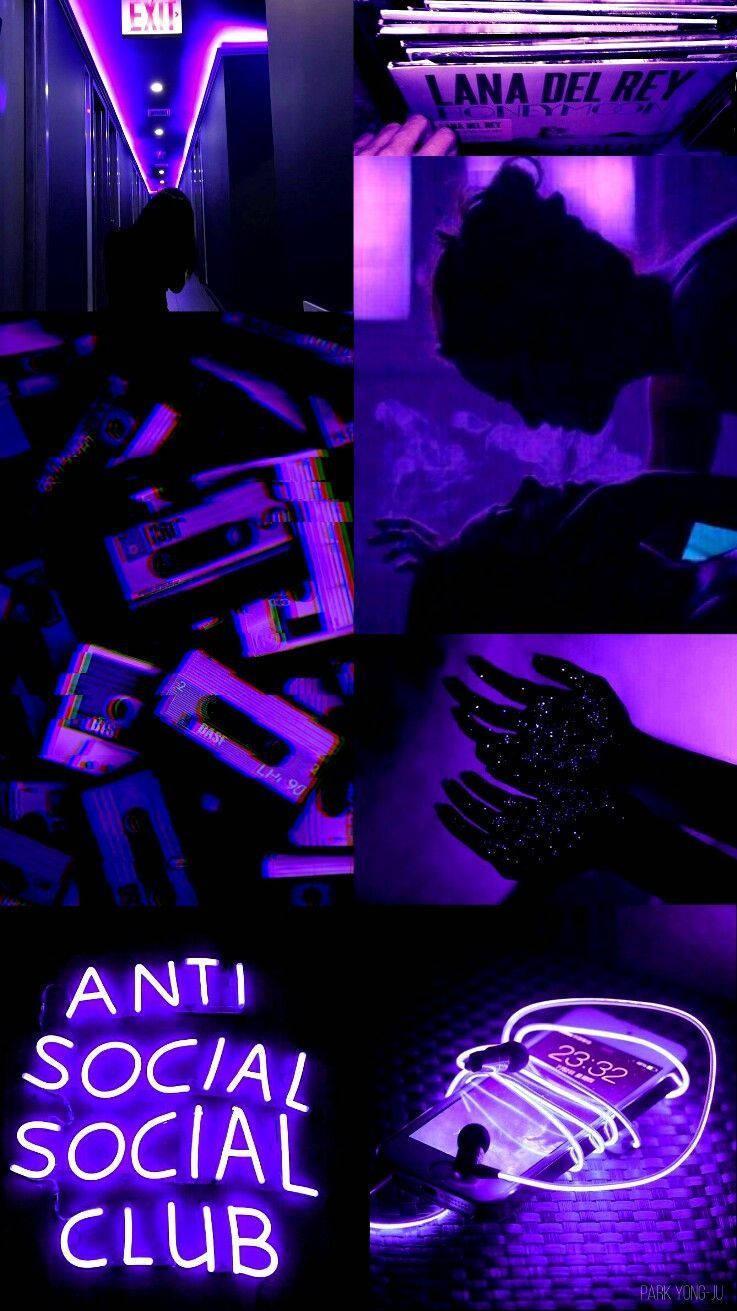 737x1311 Download Purple Aesthetic Phone Anti Social Social Club Wallpaper