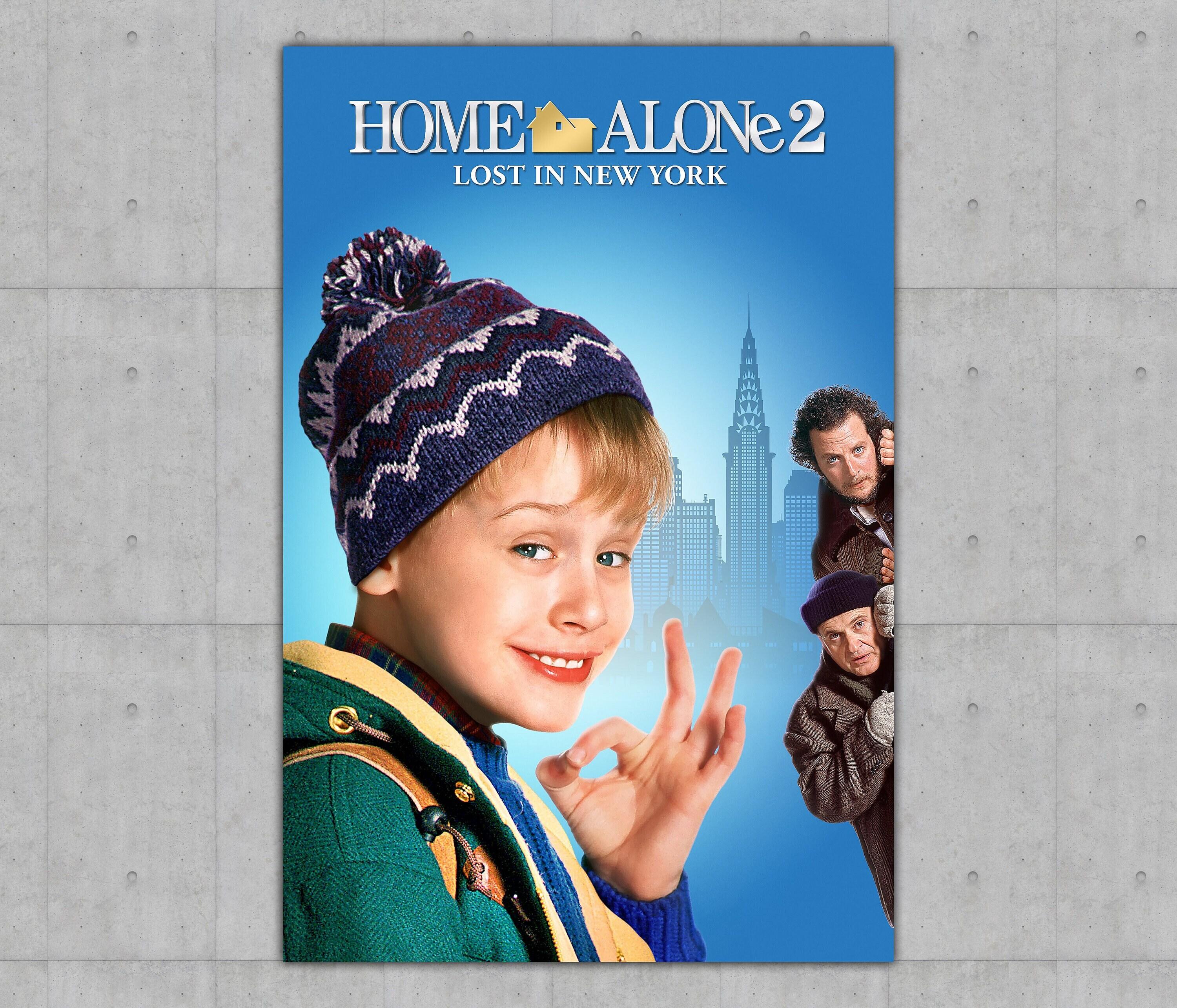 Home Alone 2 Lost in New York Wallpapers - Top Free Home Alone 2 Lost ...