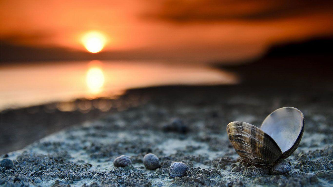 1366x768 Free download Download HD Laptop Wallpaper Background For Free HD Beautiful [1366x768] for your Desktop, Mobile & Tablet. Explore Free Laptop Wallpaper Background. Free Laptop Background, Free Laptop Wallpaper