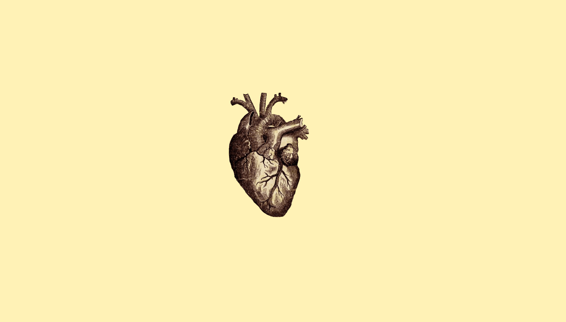 1900x1080 Medical Aesthetic Wallpaper