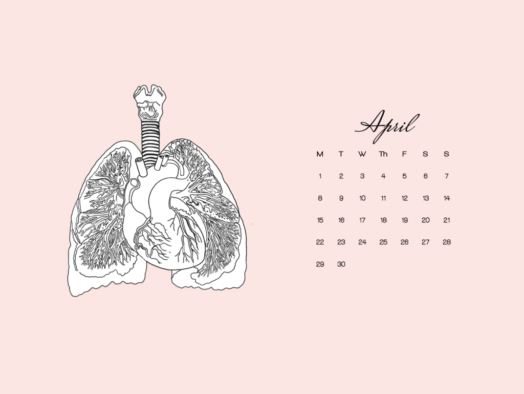 1024x769 Free Med Themed Desktop And Phone Wallpaper Young Doctor's Journey