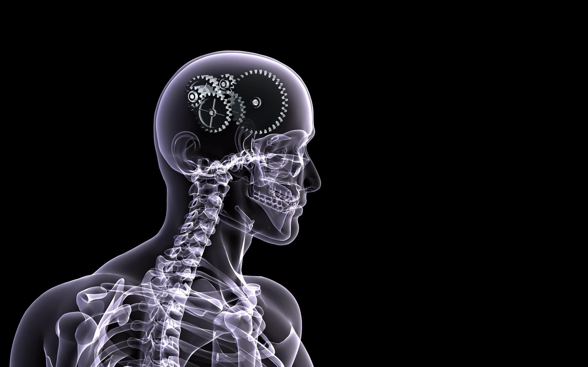 1920x1200 X Ray On The Desktop Wallpaper