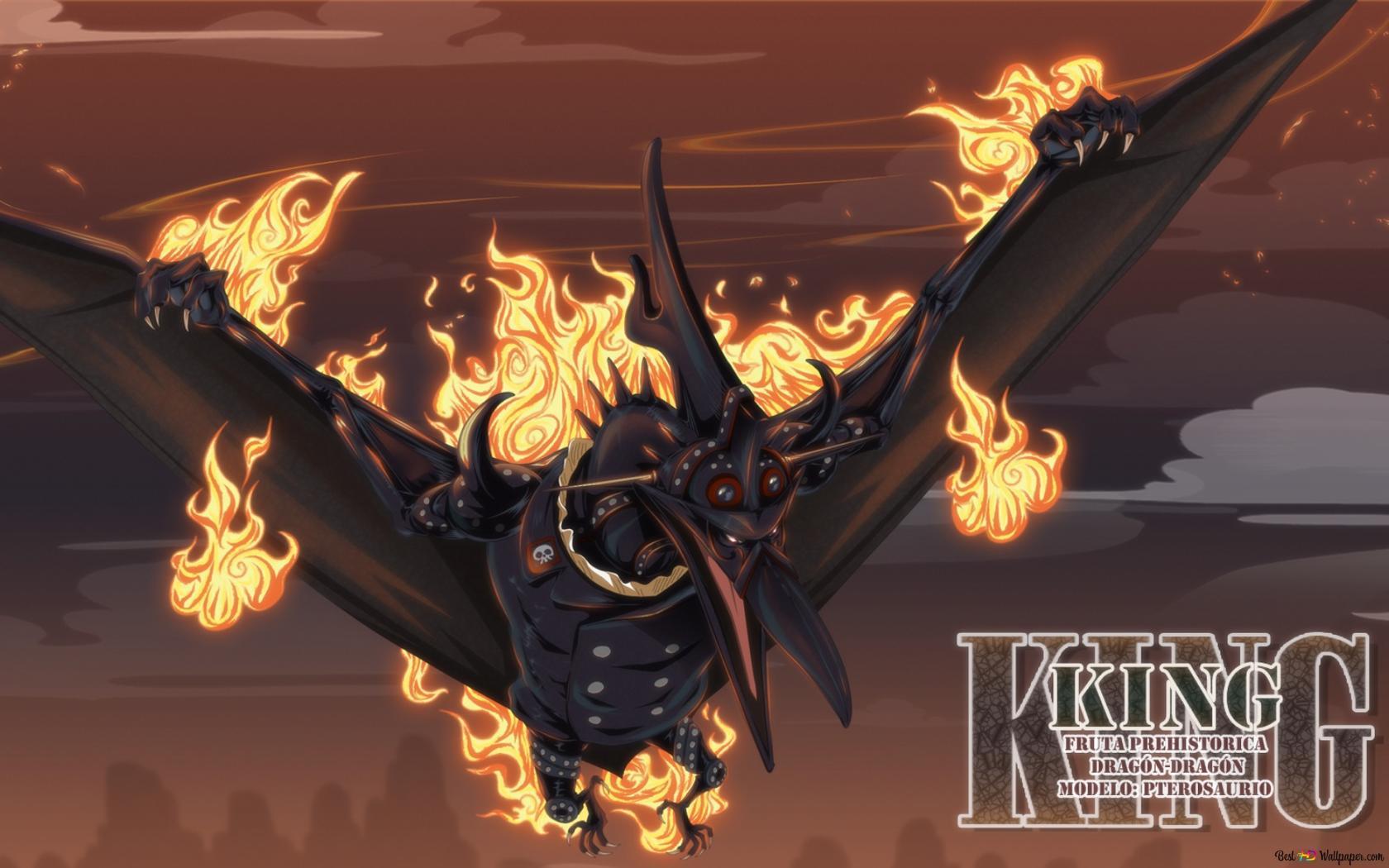1680x1050 One Piece The Wildfire HD wallpaper download