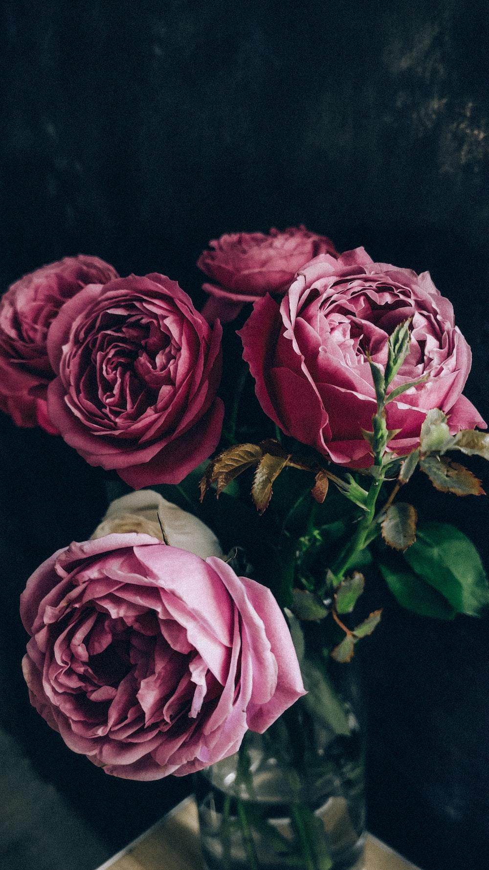 1000x1778 Vintage Rose Picture. Download Free Image