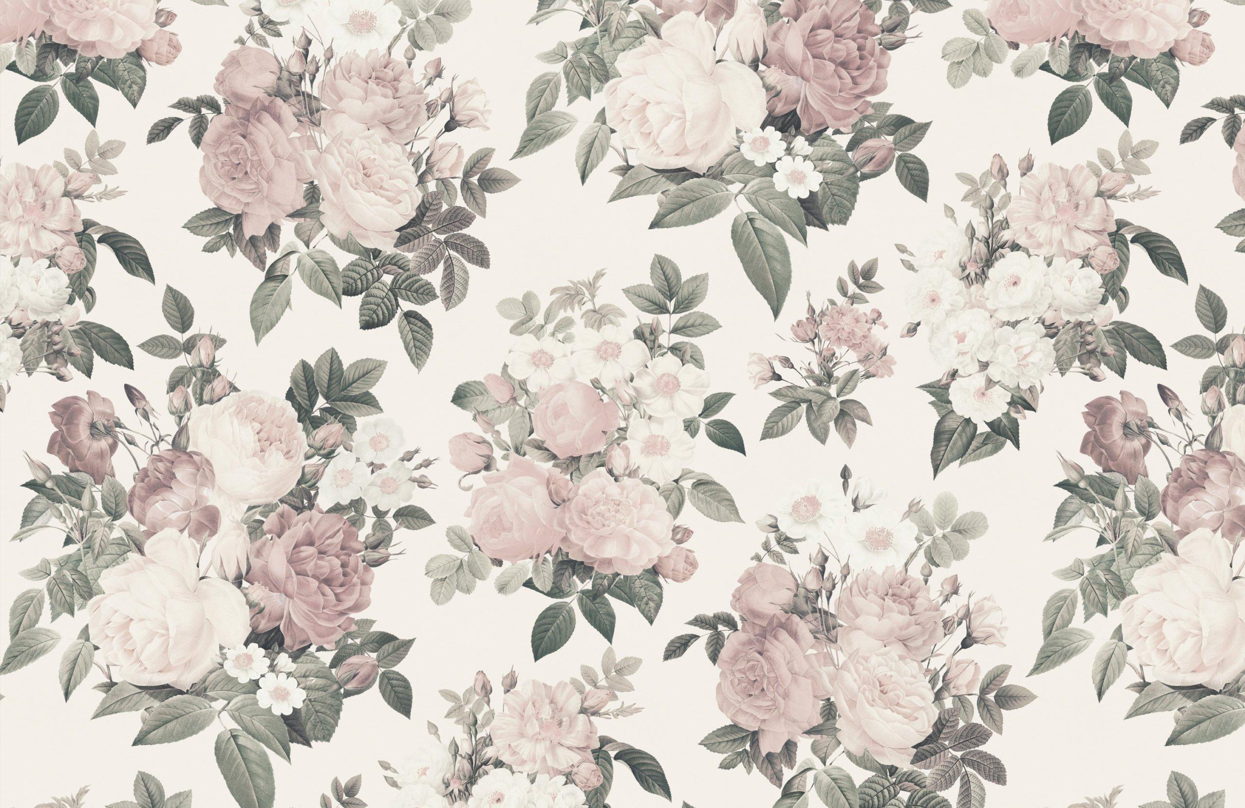 Antique Rose Wallpapers - Top Free Antique Rose Backgrounds