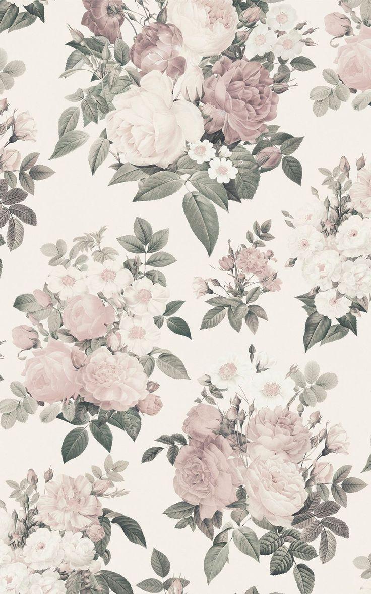 736x1177 Cream & Pink Vintage Rose Floral Wallpaper Mural. Hovia. Vintage floral background, Vintage floral wallpaper, Vintage flowers wallpaper