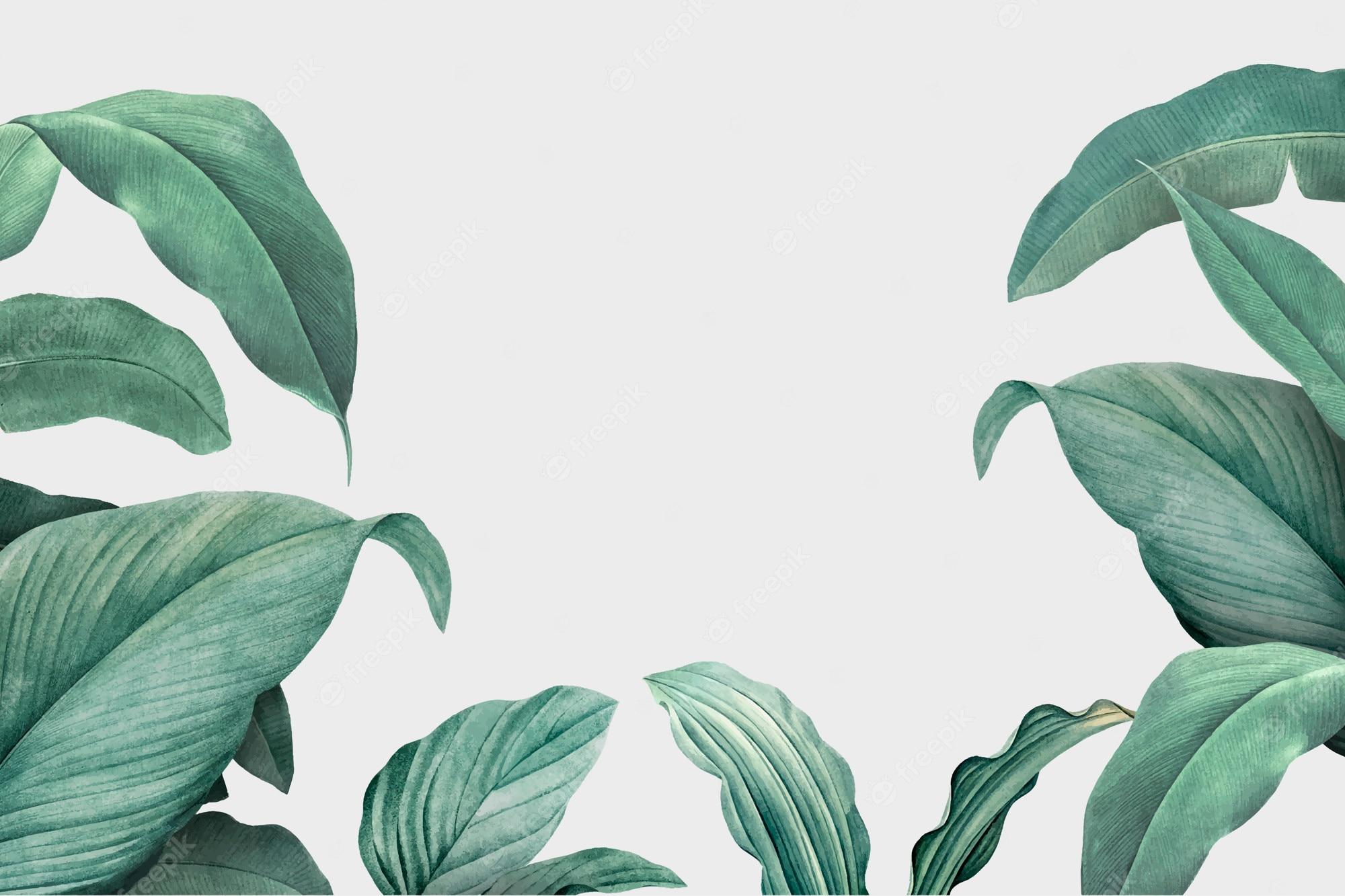 2000x1333 Tropical Foliage Image