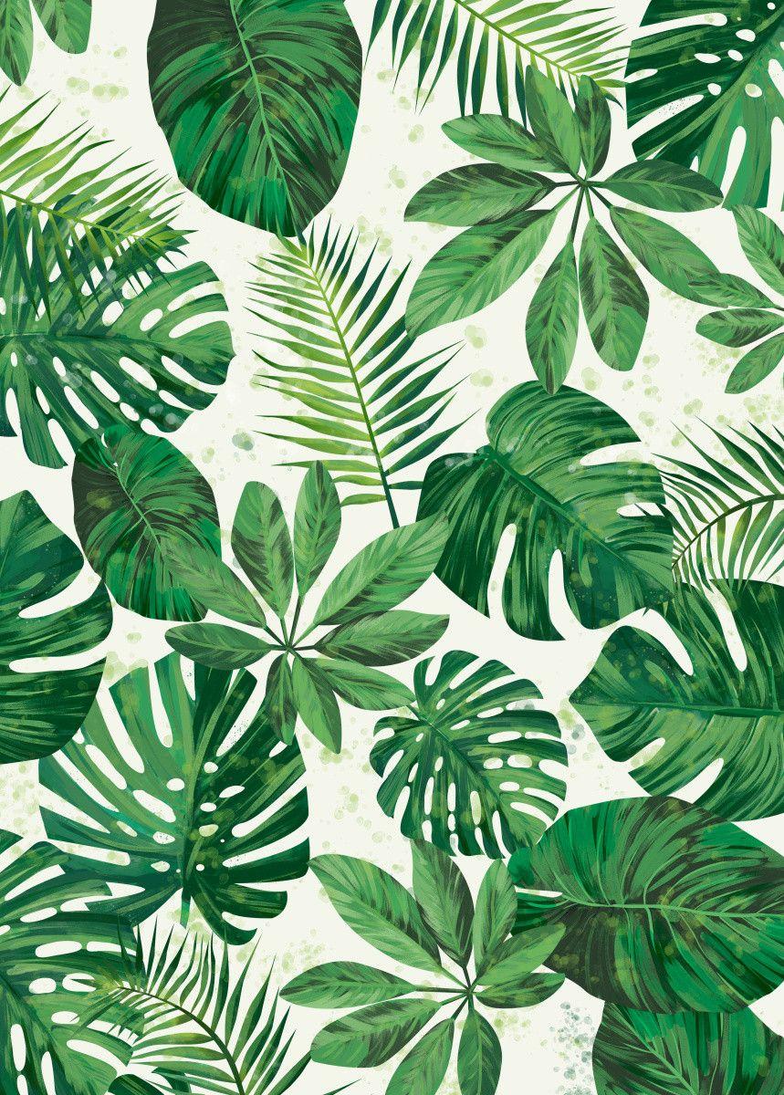 859x1200 Tropical Pattern' Poster by Tomasz Dąbek. Displate. iPhone wallpaper tropical, Leaves wallpaper iphone, Tropical wallpaper