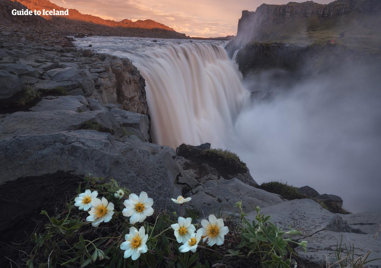 1326x933 Dettifoss Waterfall Travel Guide. Guide to Iceland