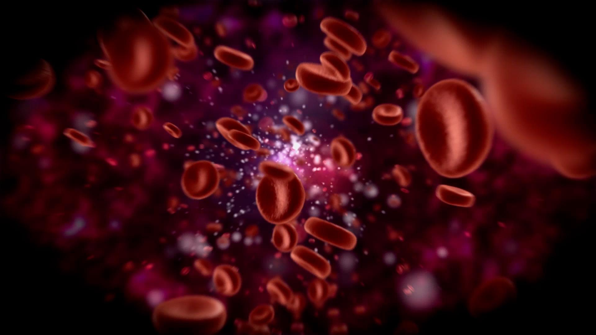 1920x1080 Free download Red Blood Cells Flow Traveling through a vein inside body [1920x1080] for your Desktop, Mobile & Tablet. Explore Red Blood Cell Wallpaper. Blood Red Wallpaper, Blood Moon