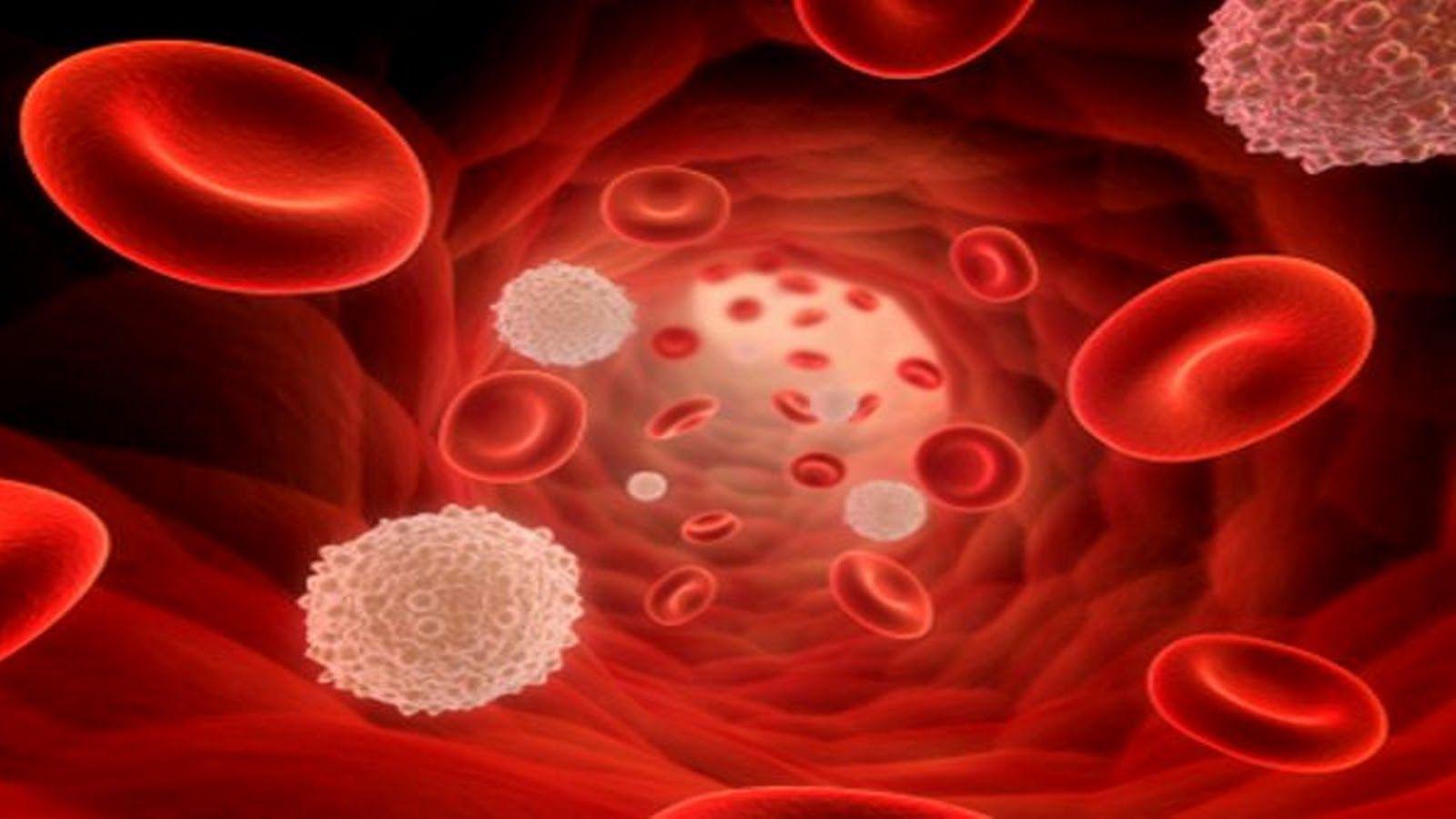 1600x900 Red Blood Cell Wallpaper