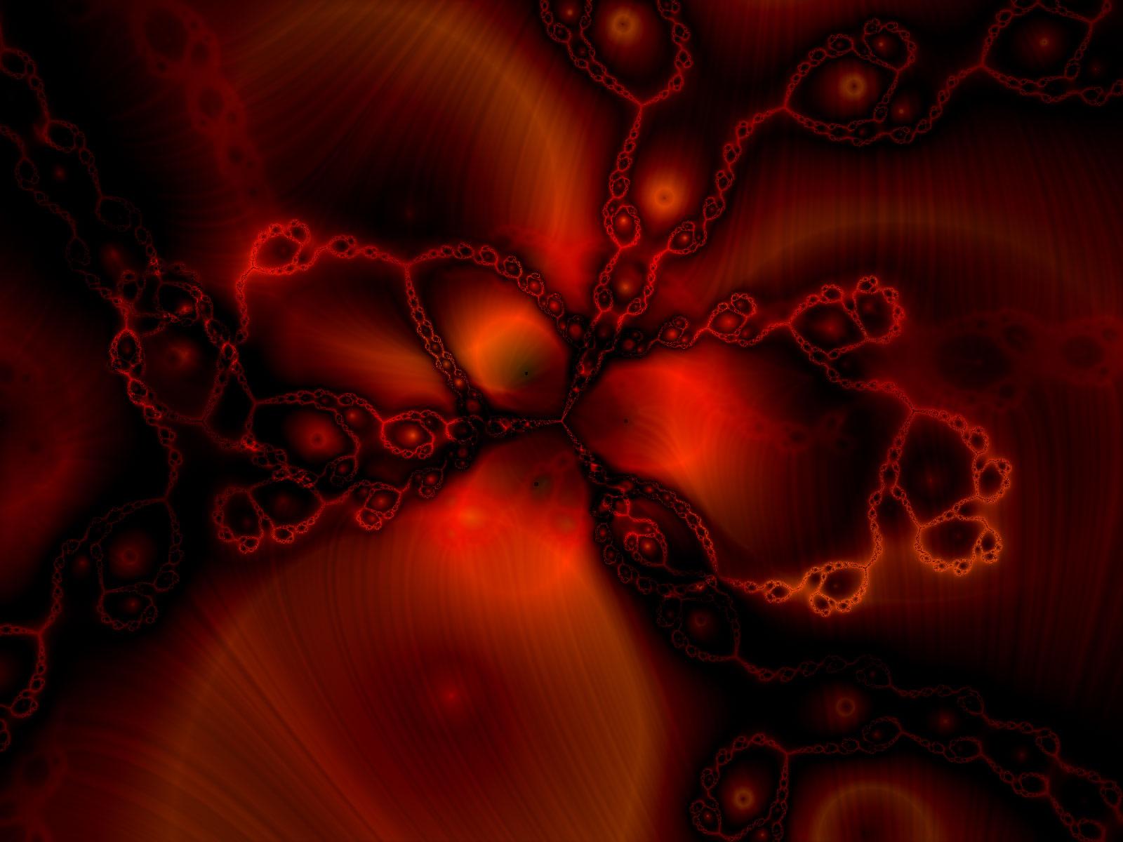 1600x1200 Red Blood Cell Wallpaper