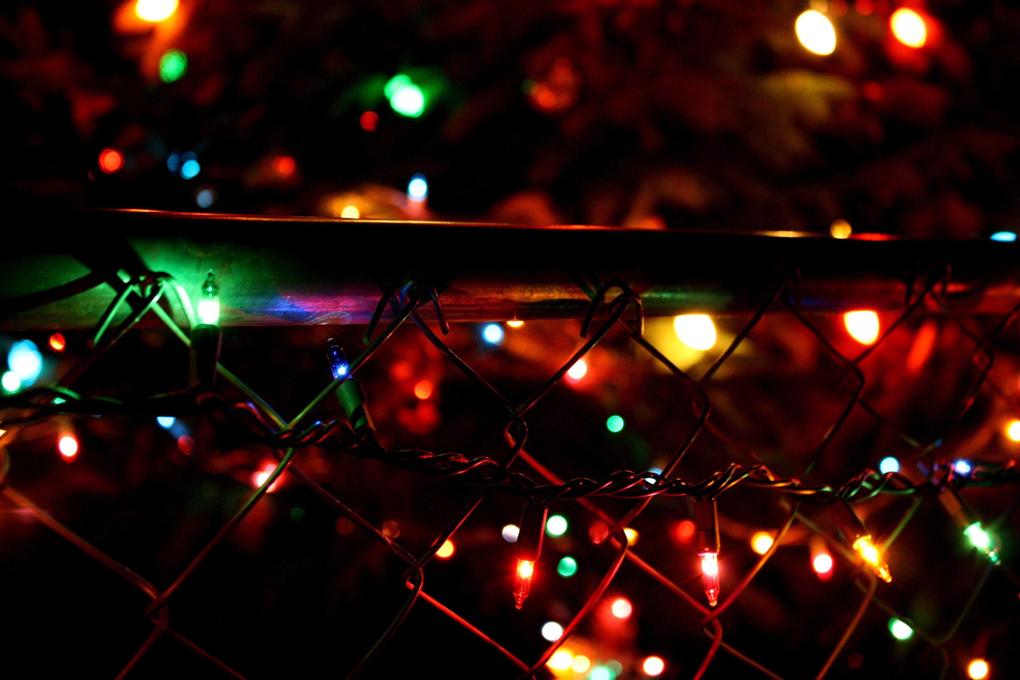 3888x2592 Christmas Lights on Fence Picture. Free Photograph. Photo Public