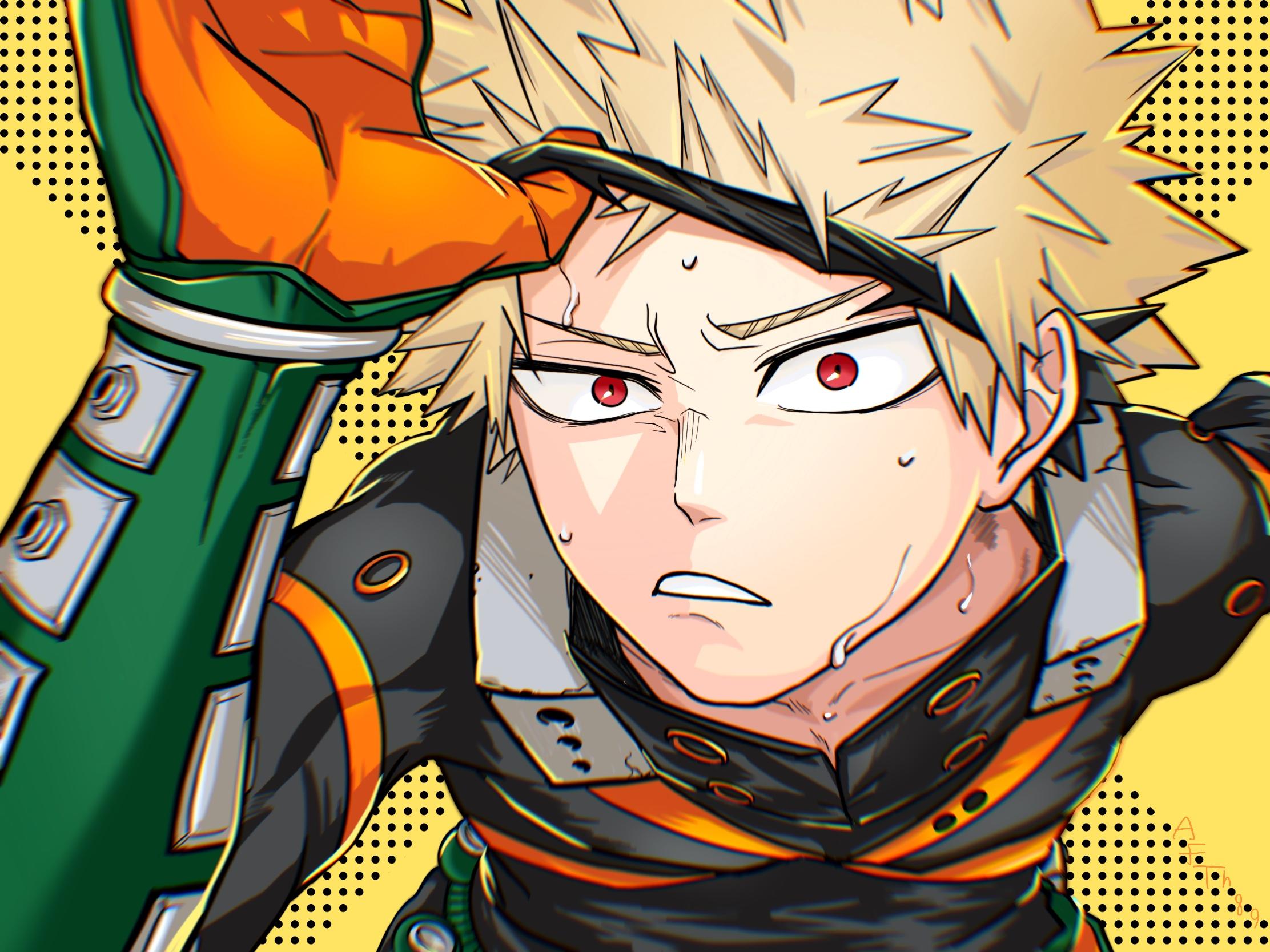 2224x1668 My Hero Academia HD, Katsuki Bakugou Gallery HD Wallpaper