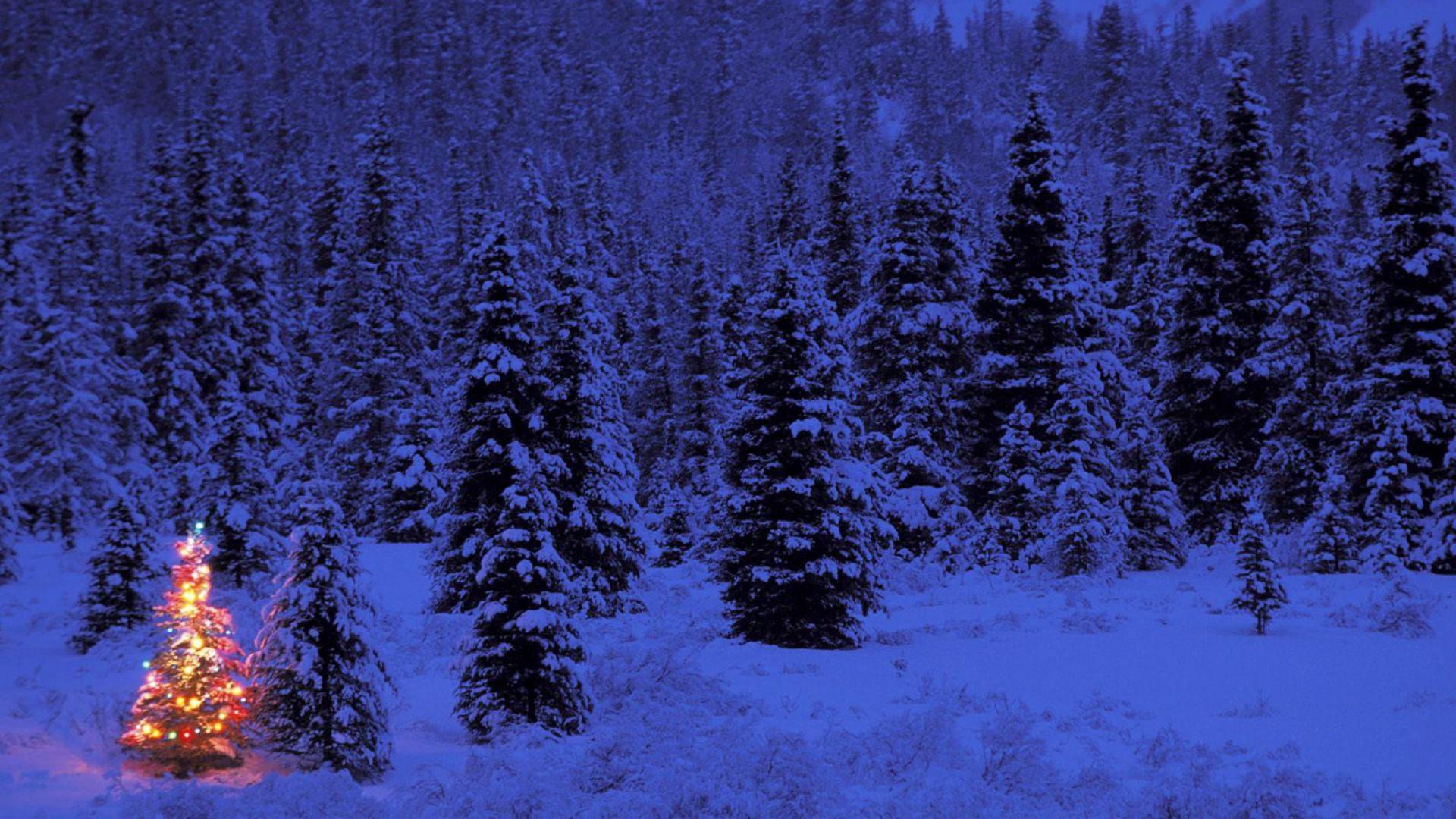 1920x1080 Christmas Lights Wallpaper HD Wallpaper