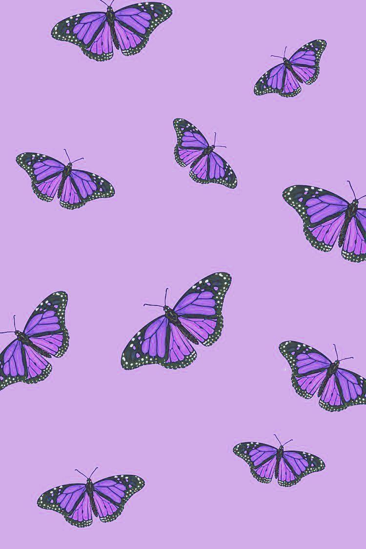 750x1125 Aesthetic Purple Butterfly Wallpaper