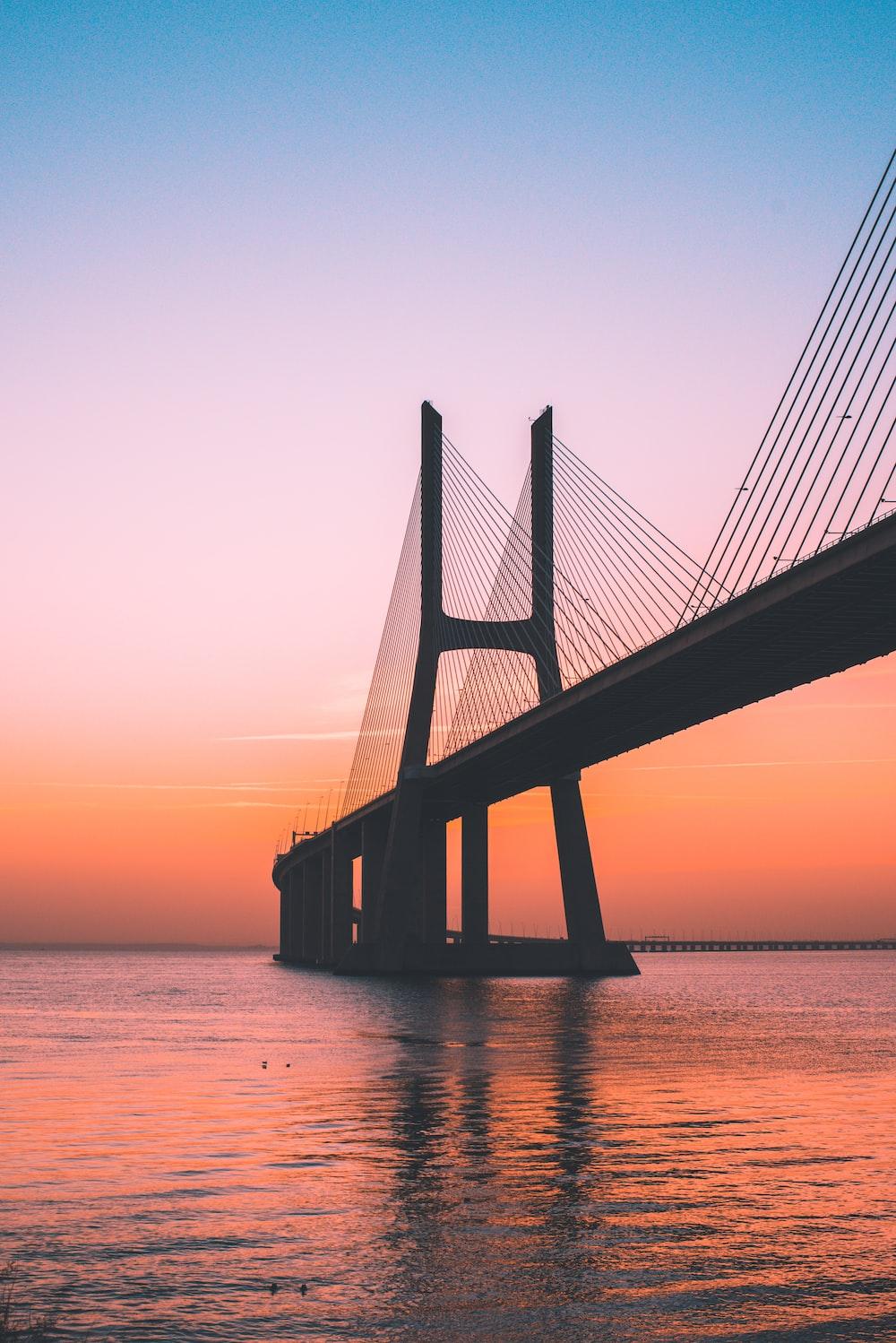 1000x1498 Bridges Picture [HD]. Download Free Image