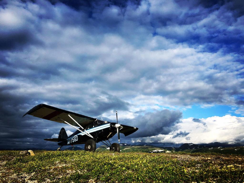 1024x768 Bush Plane Wallpaper