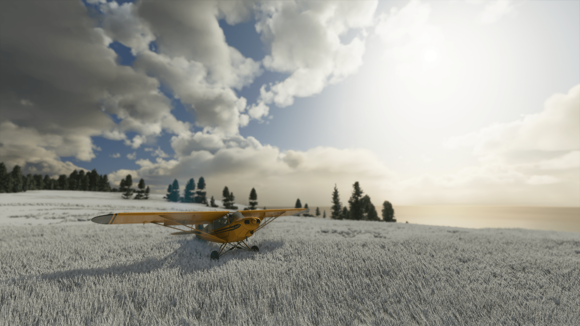 1920x1080 Bought this game for bush flying and I'm having a blast =o