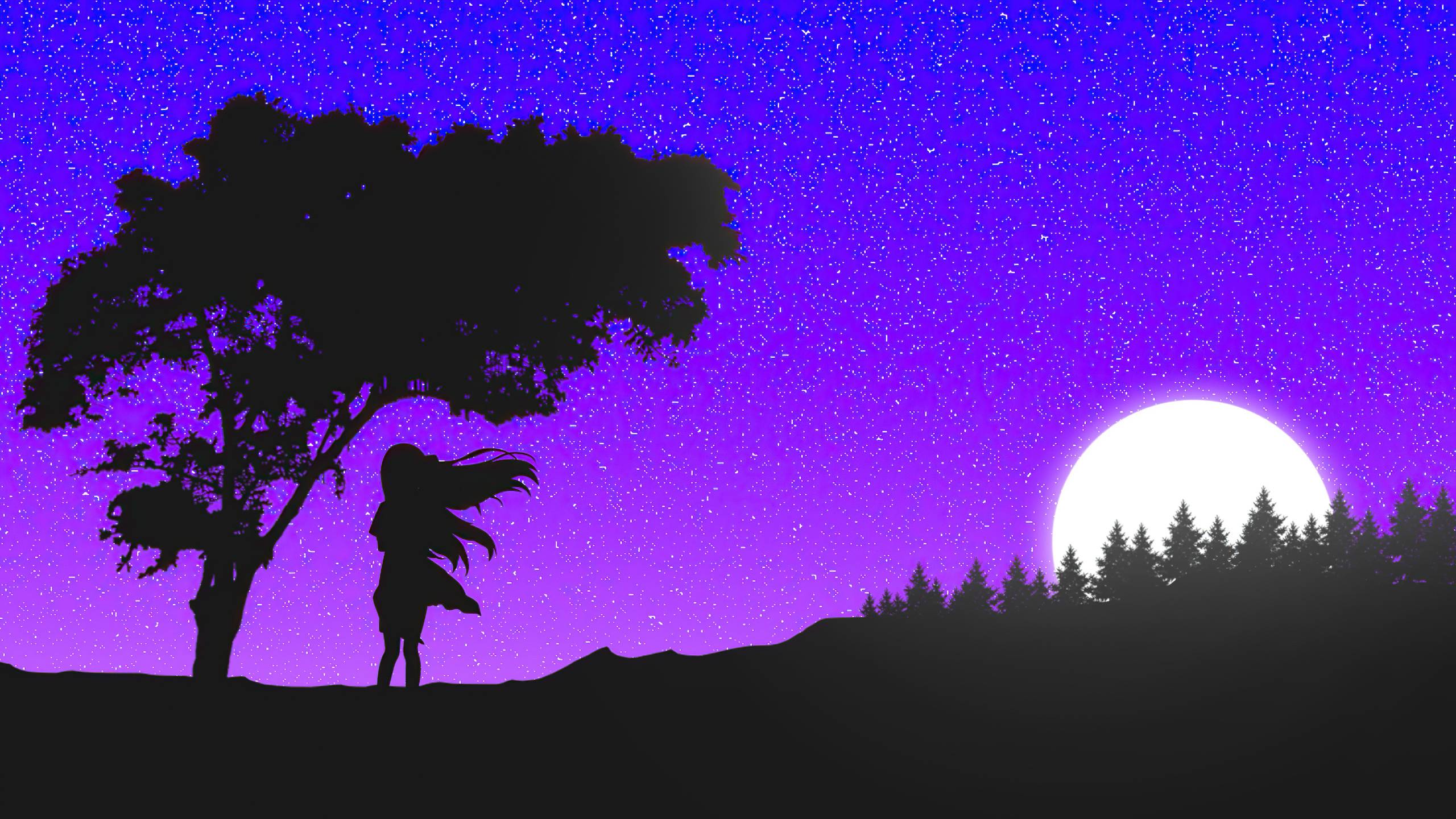 2560x1440 Shelter Minimal 4k 1440P Resolution HD 4k Wallpaper, Image, Background, Photo and Picture