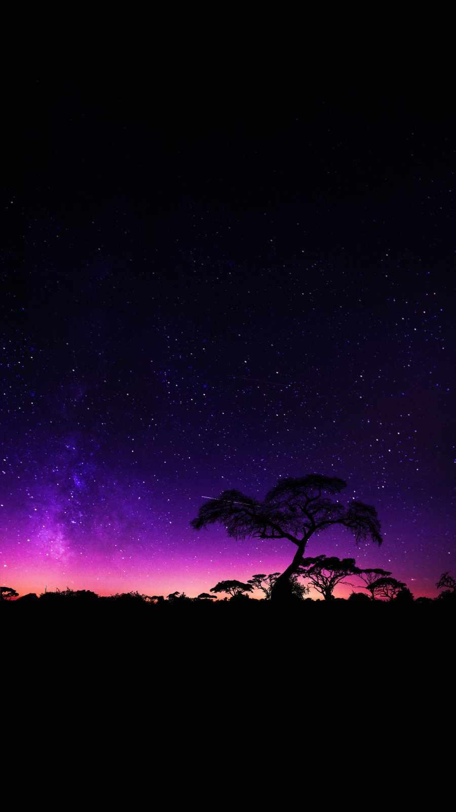 900x1600 Starry Night Trees IPhone Wallpaper Wallpaper : iPhone Wallpaper