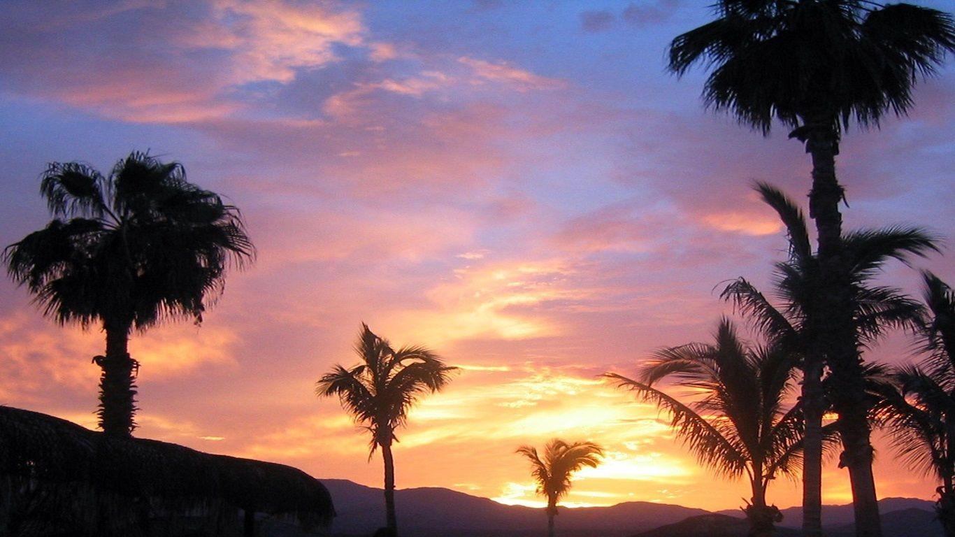1366x768 Tropical Beach Wallpaper (20 Photo)