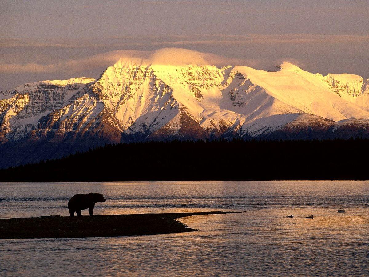 1200x900 Alaska, Mountains, Snow wallpaper. TOP Free wallpaper