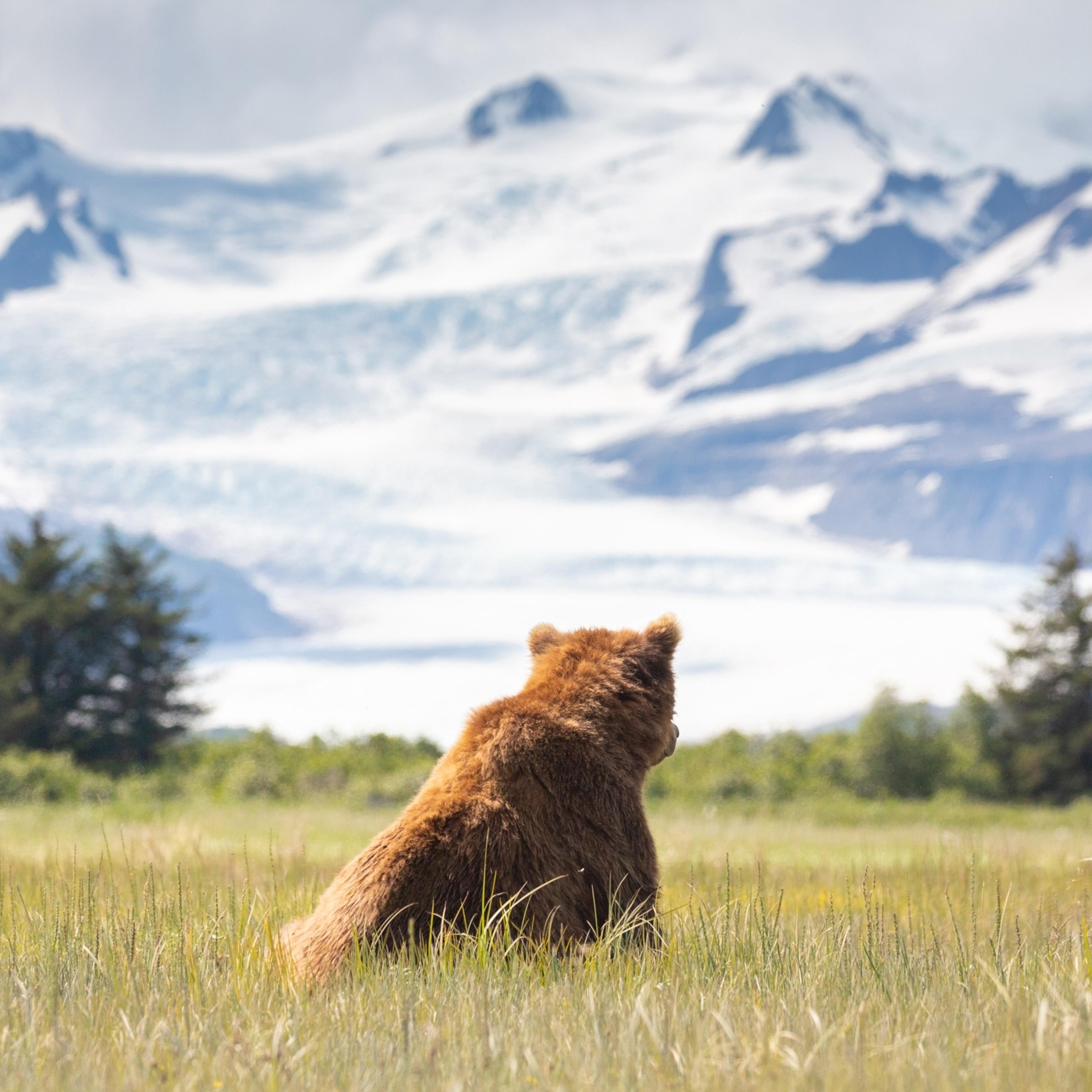 3072x3072 For this family, keeping Alaska wild and pristine is personal