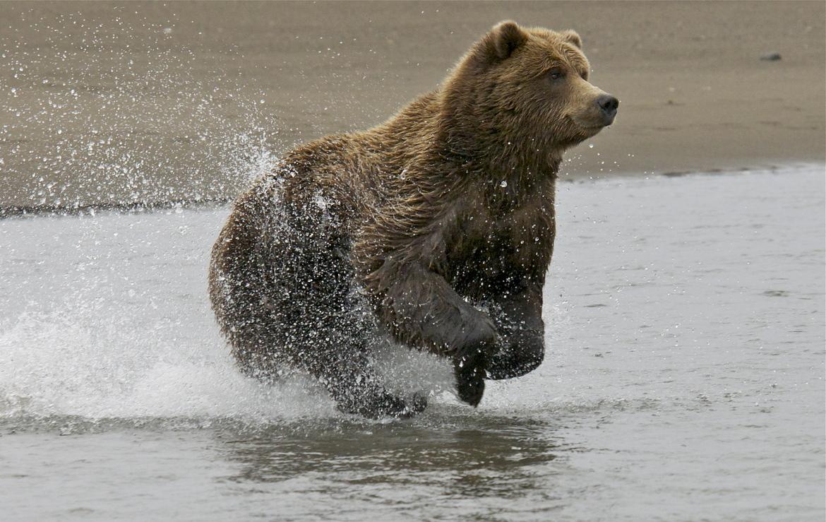 1170x739 Alaska