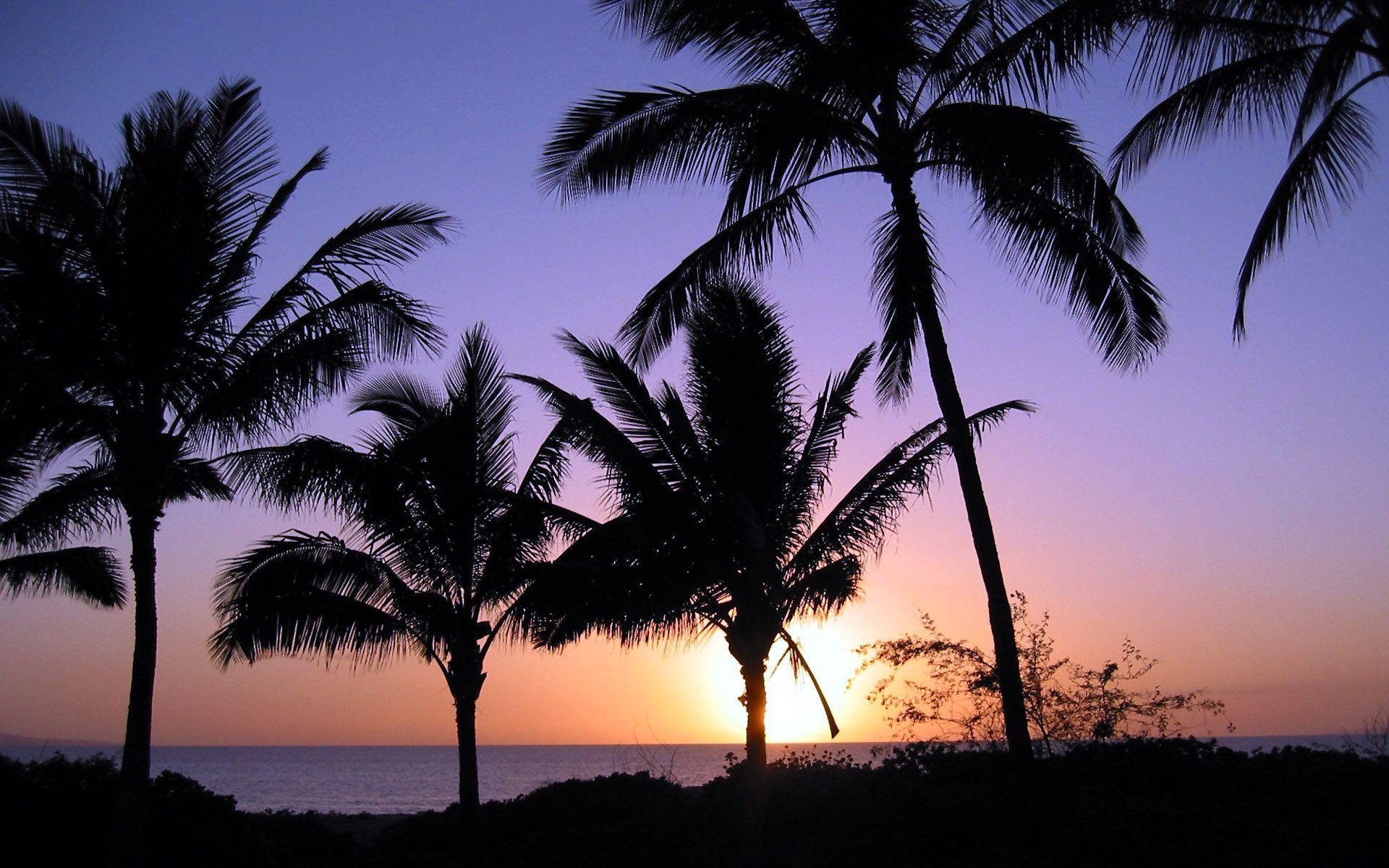 1920x1200 Purple sunset desktop beaches kihei water image acrylic