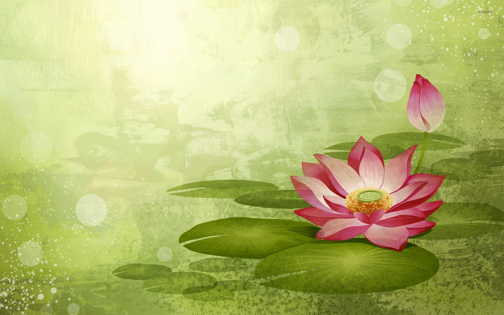 1920x1200 Water Lily wallpaper wallpaper