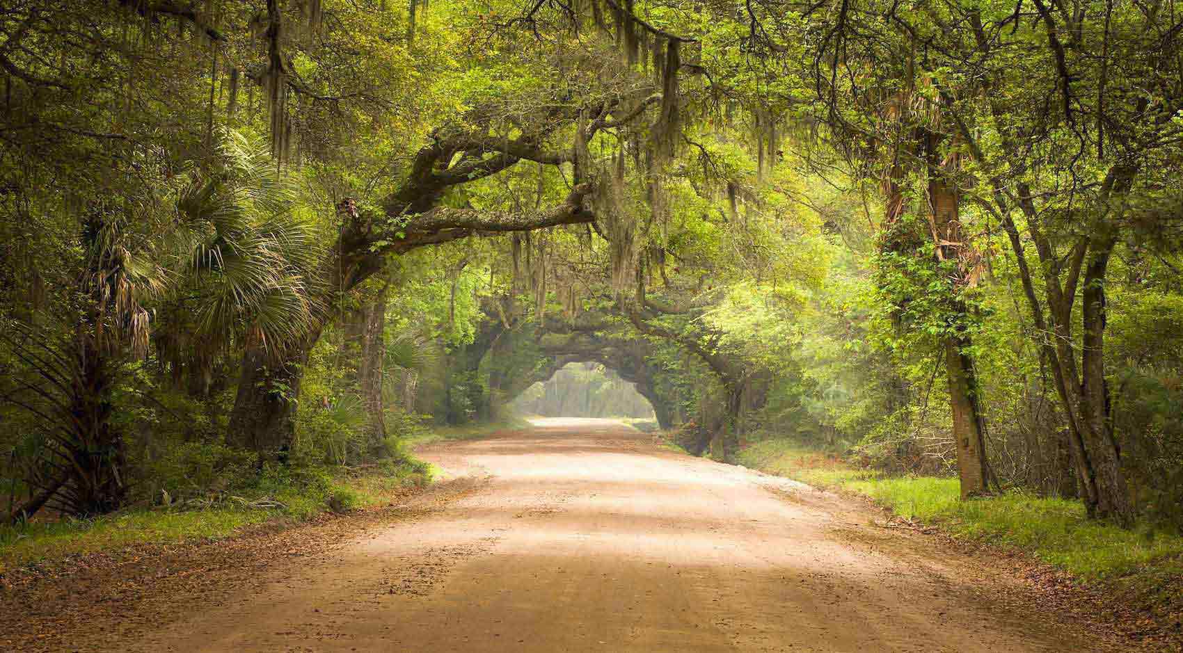 1700x939 Spanish Moss, Luxury Simplified