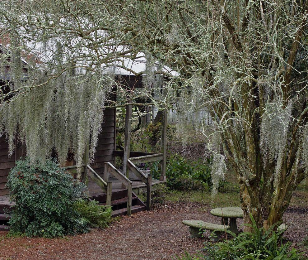 990x834 Favorite Places & Spaces