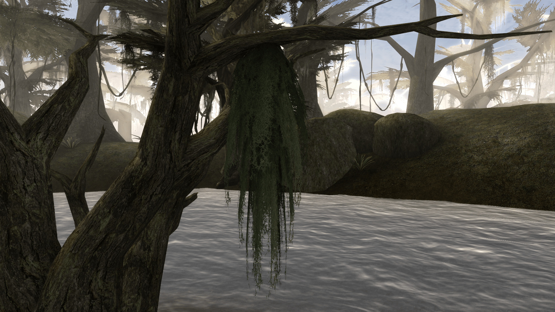 1920x1080 Epic Plants Spanish moss of Bitter Coast available at Morrowind Nexus and community