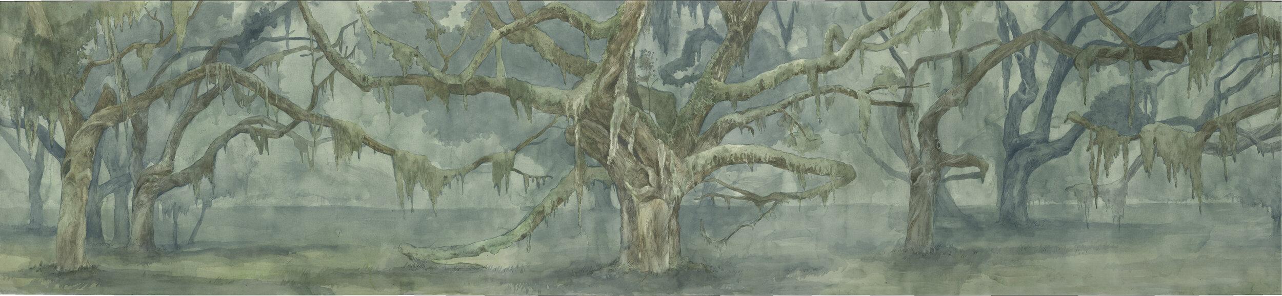 2500x578 Spanish Moss Forest Mural Wallpaper