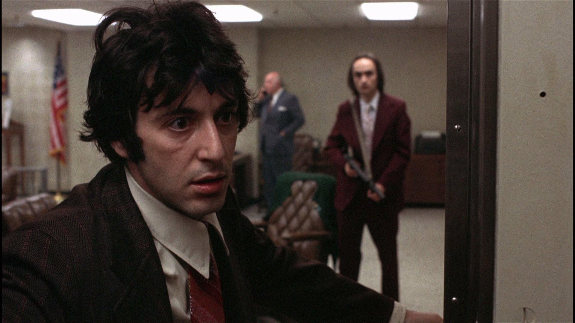 1920x1080 Dog Day Afternoon HD Wallpaper und Hintergründe