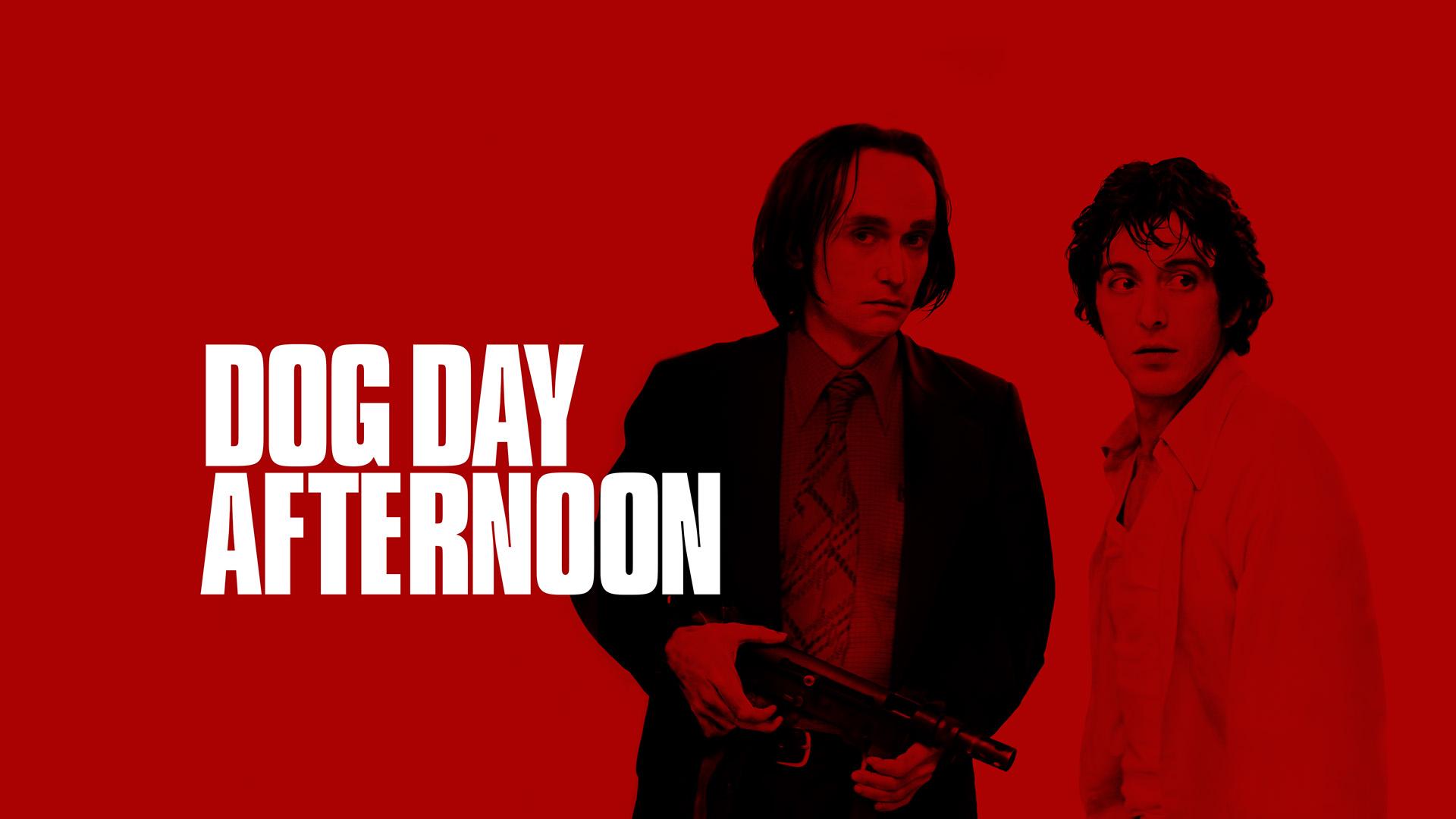 Dog Day Afternoon Wallpapers Top Free Dog Day Afternoon Backgrounds