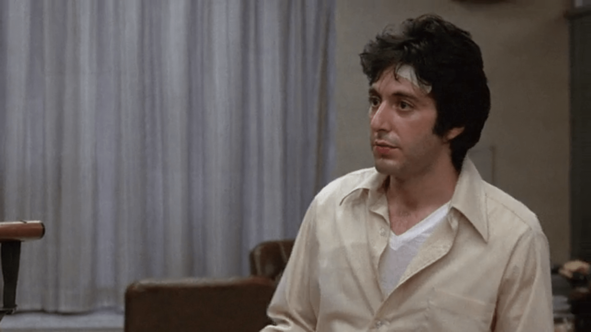 Dog Day Afternoon Wallpapers Top Free Dog Day Afternoon Backgrounds