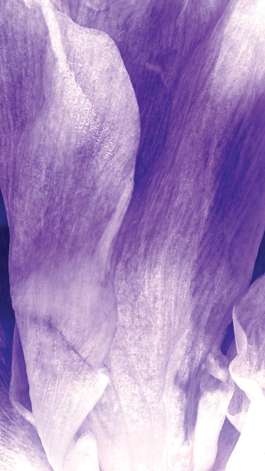 1080x1920 Download Now: Wallpaper Inspired by Our New Cleaning Collection