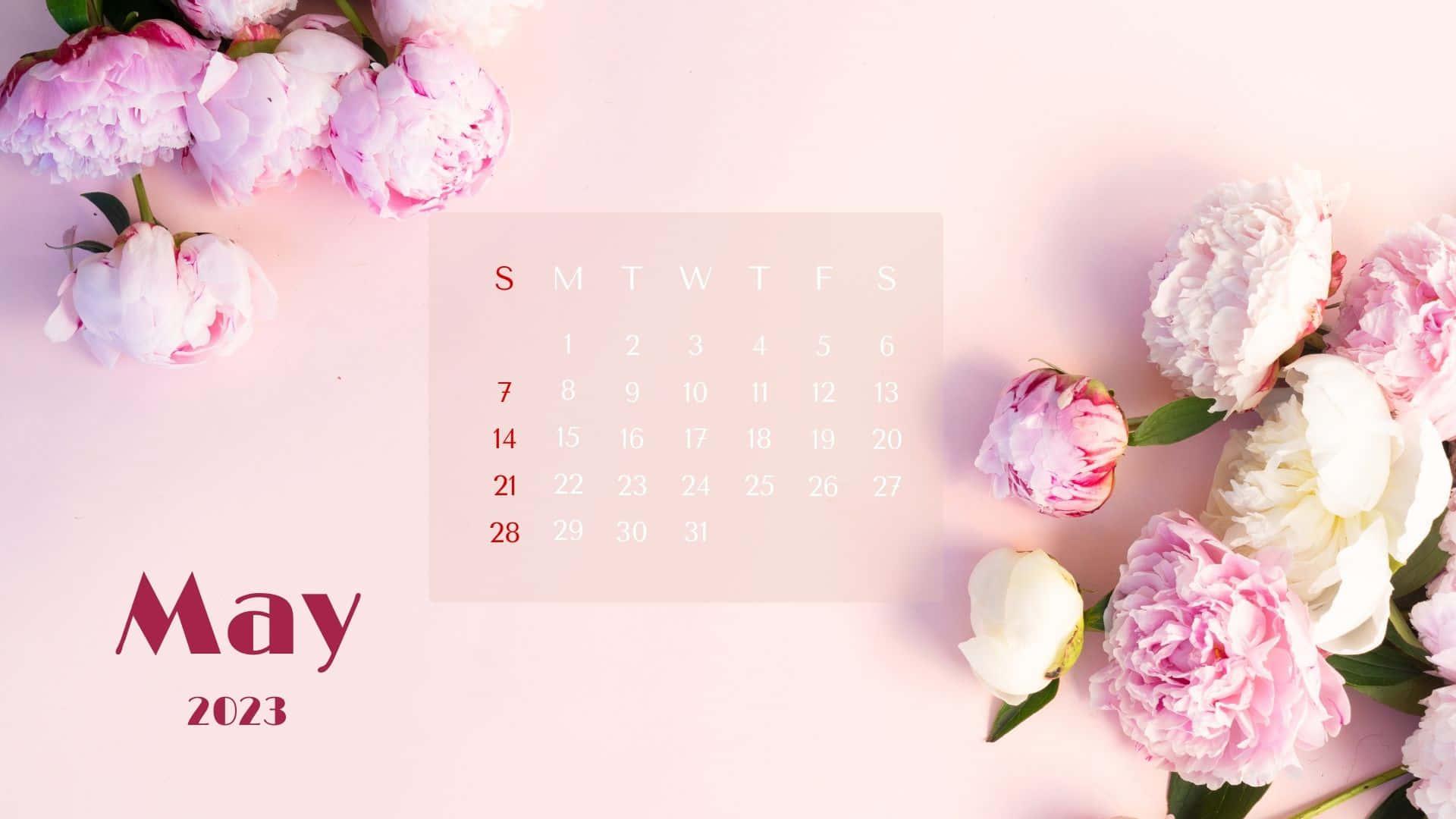 May 2023 Calendar Wallpapers - Top Free May 2023 Calendar Backgrounds 