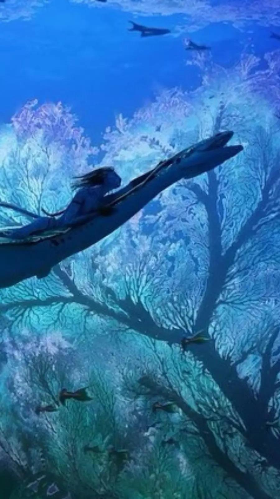 900x1600 Avatar: The Way of Water: All You Wanted To Know About 'Avatar: The Way of Water'