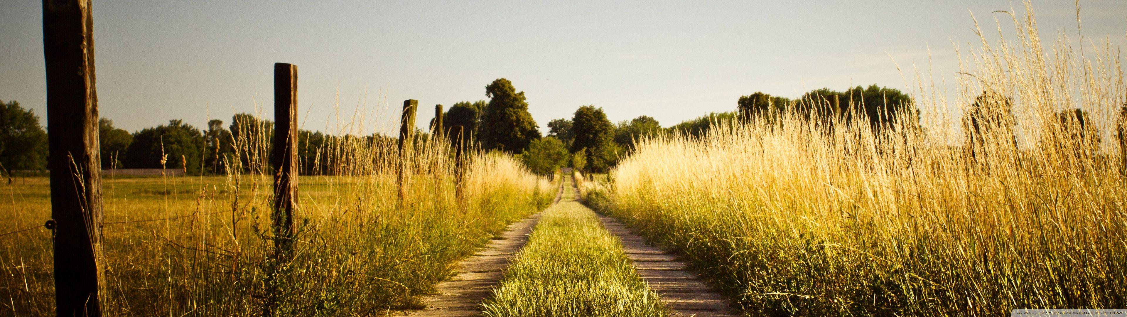 3840x1080 Country Road, Late Summer ❤ 4K HD Desktop Wallpaper for 4K Ultra HD