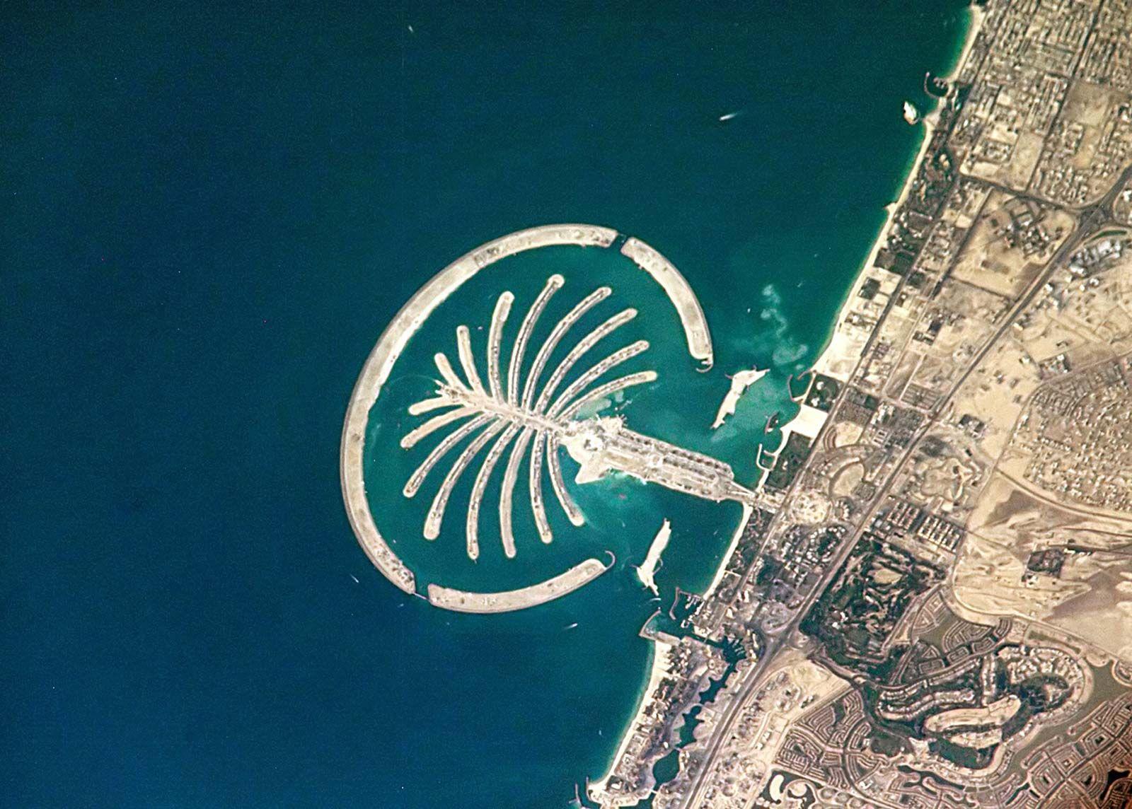1600x1144 Palm Jumeirah. History, Description, & Facts