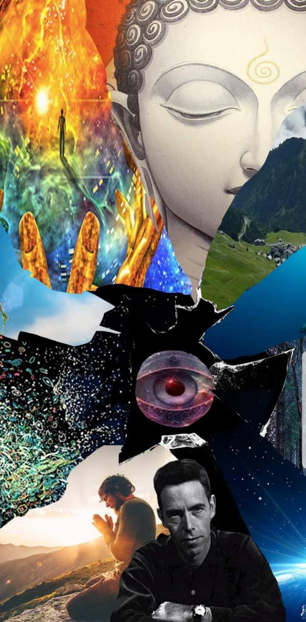 630x1280 Alan Watts wallpaper