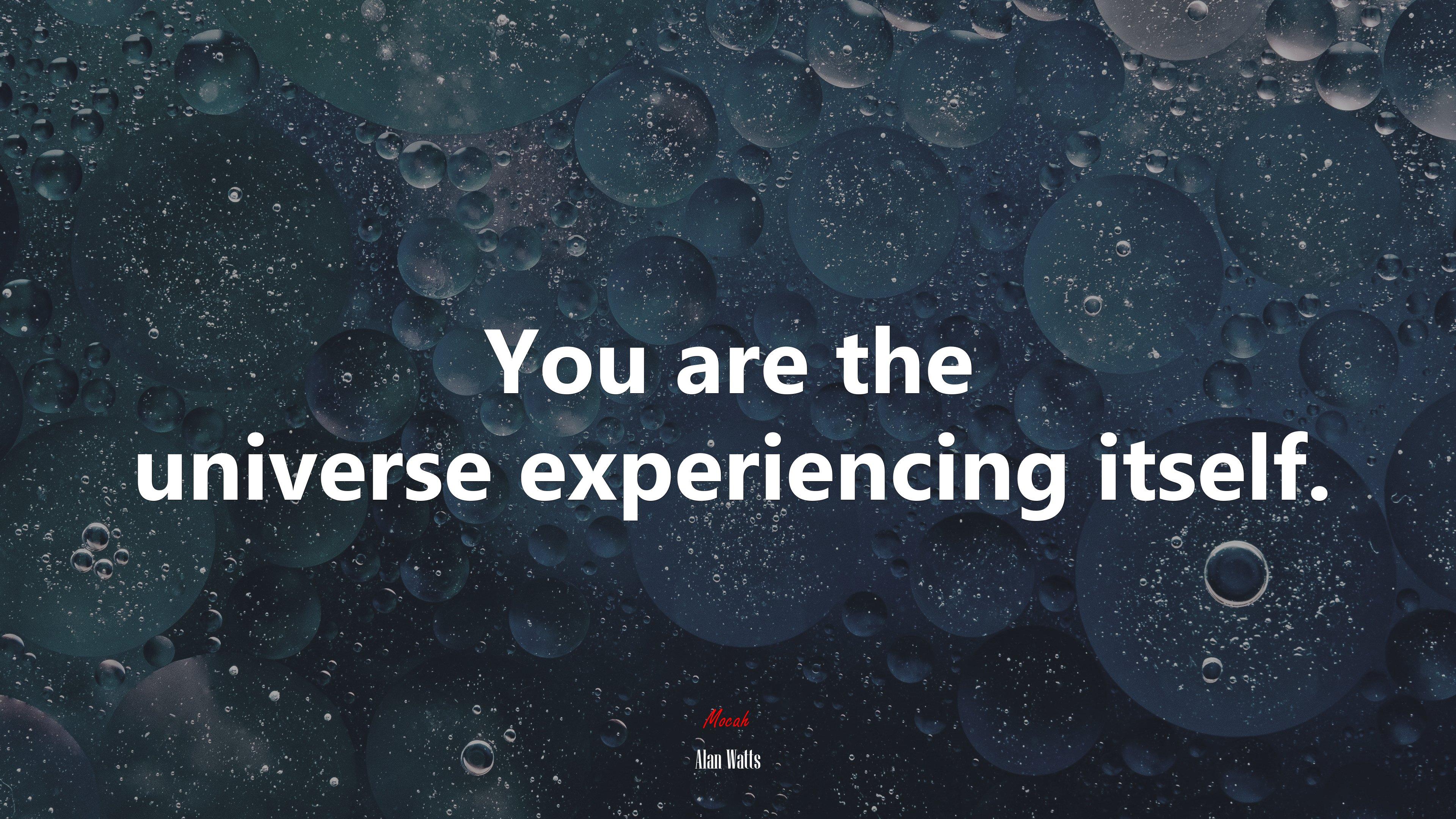 3840x2160 Alan Watts quote 1080P, 2k, 4k HD wallpaper, background free download