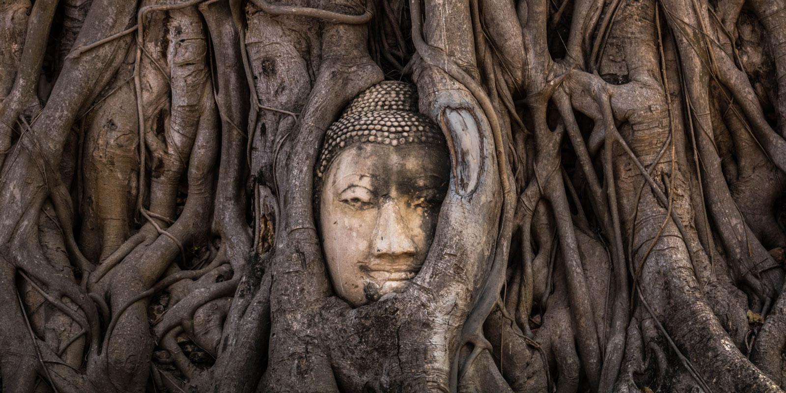 1600x800 Alan Watts, Author at Tricycle: The Buddhist Review